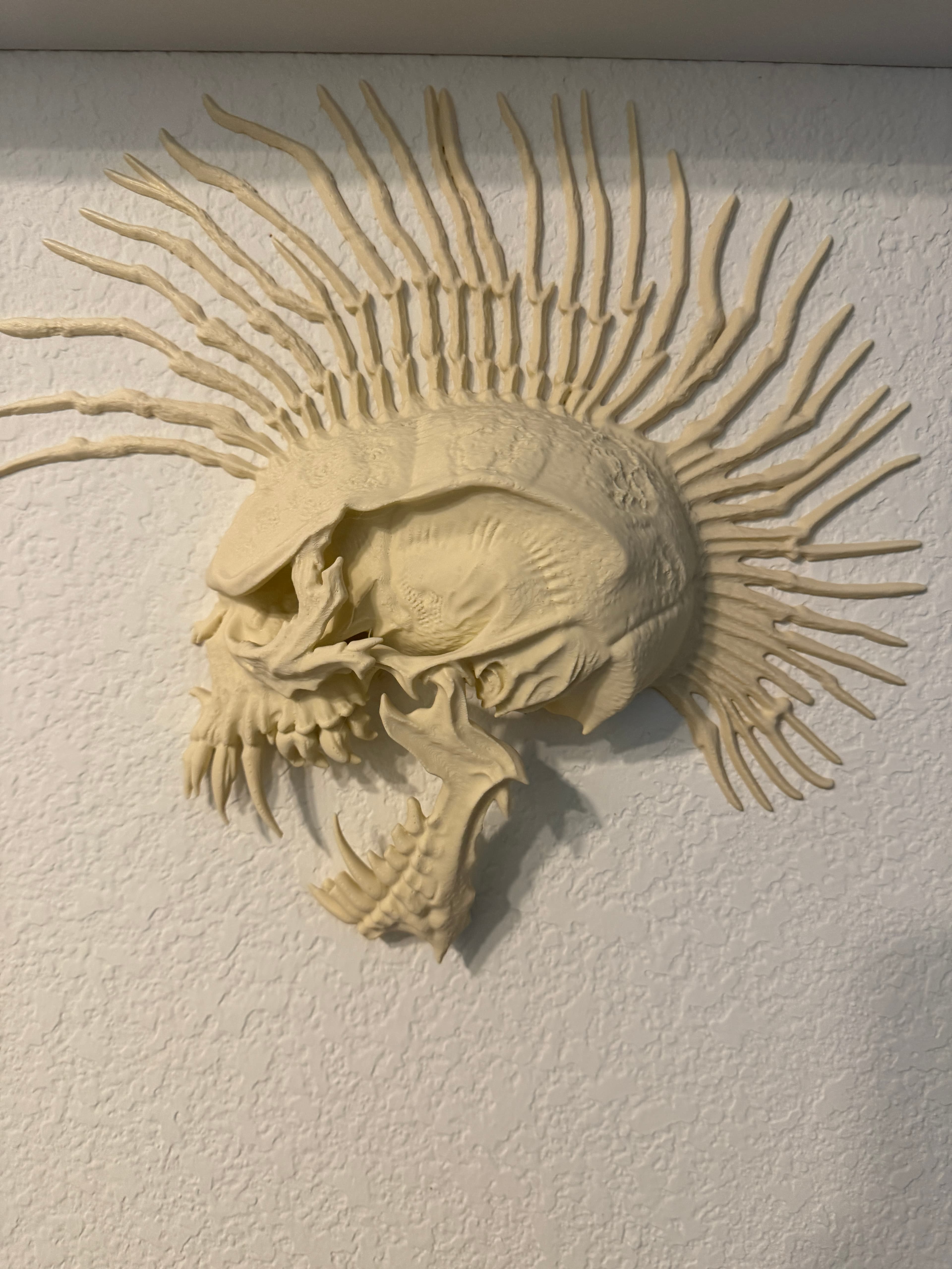 The Exploited - Free Punk Model Wall Hanger Skull