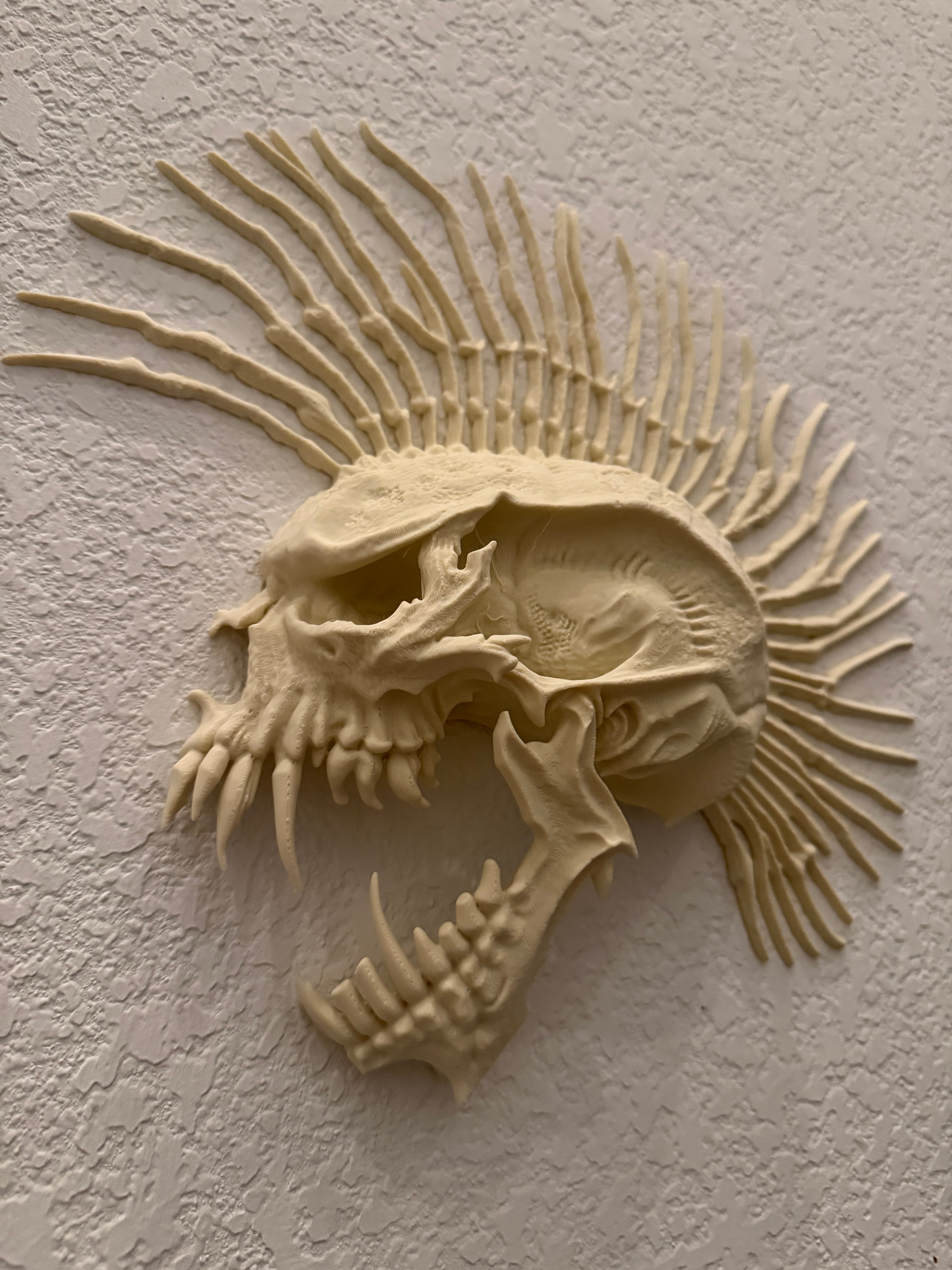 Bone-white skull wall mount with radiating spine detail