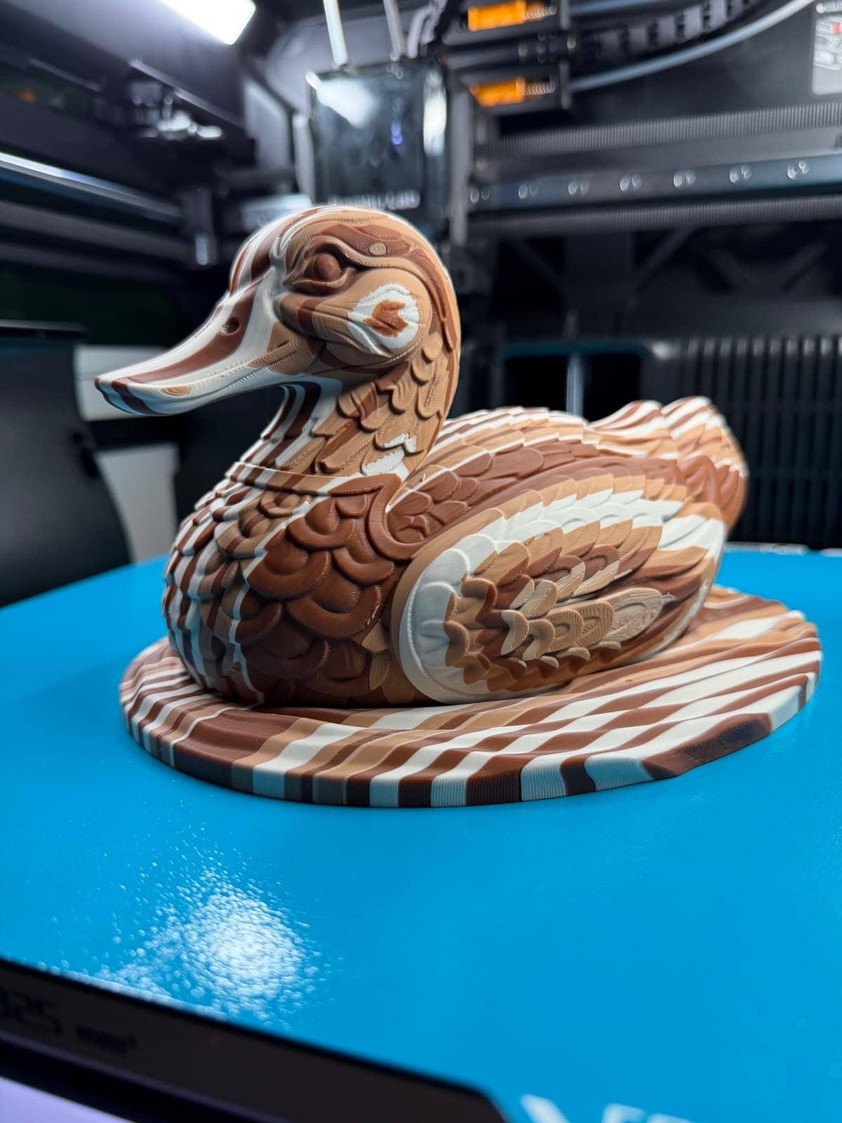 Duck. Paid member exclusive.