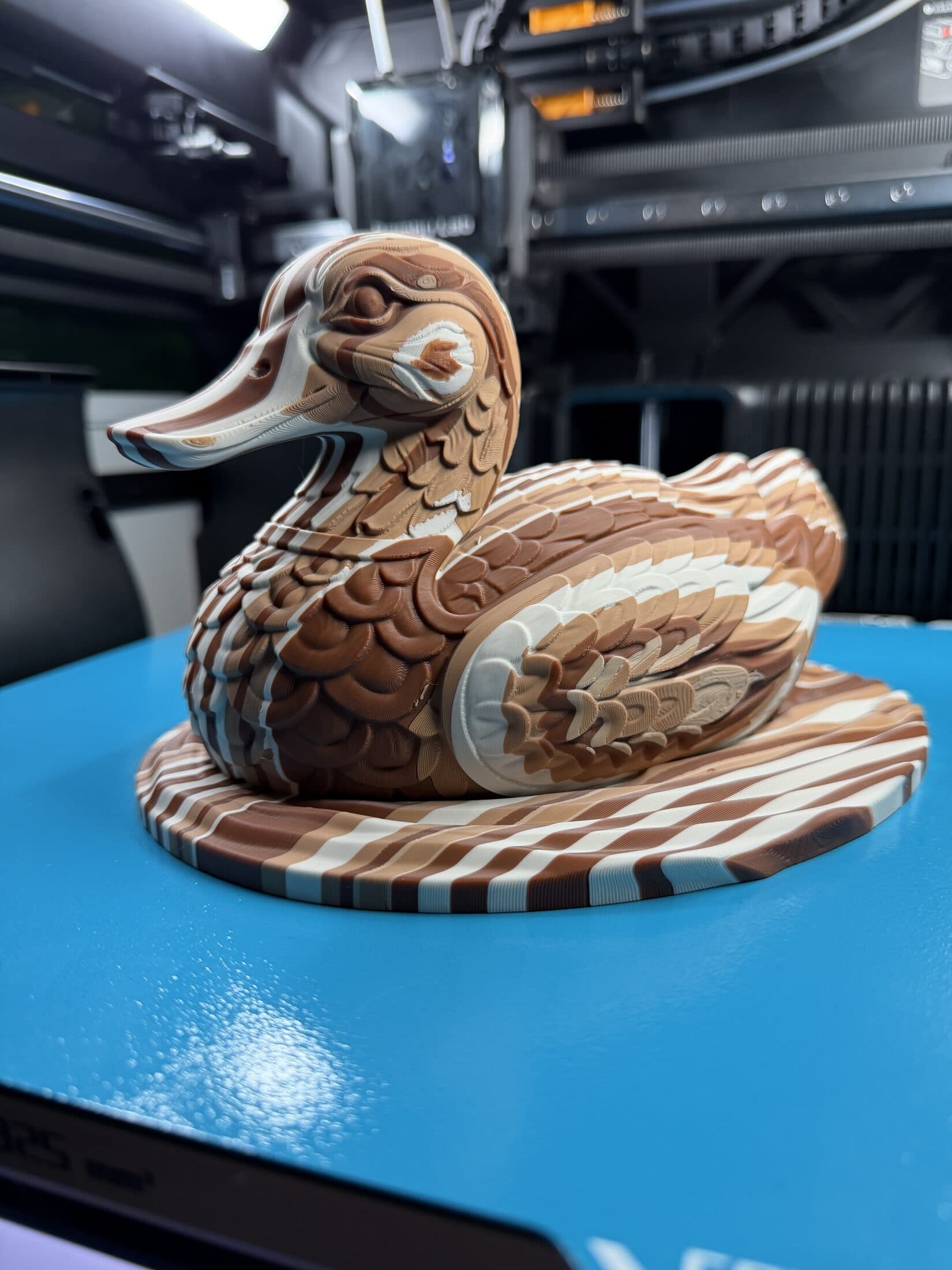 Duck. Paid member exclusive.