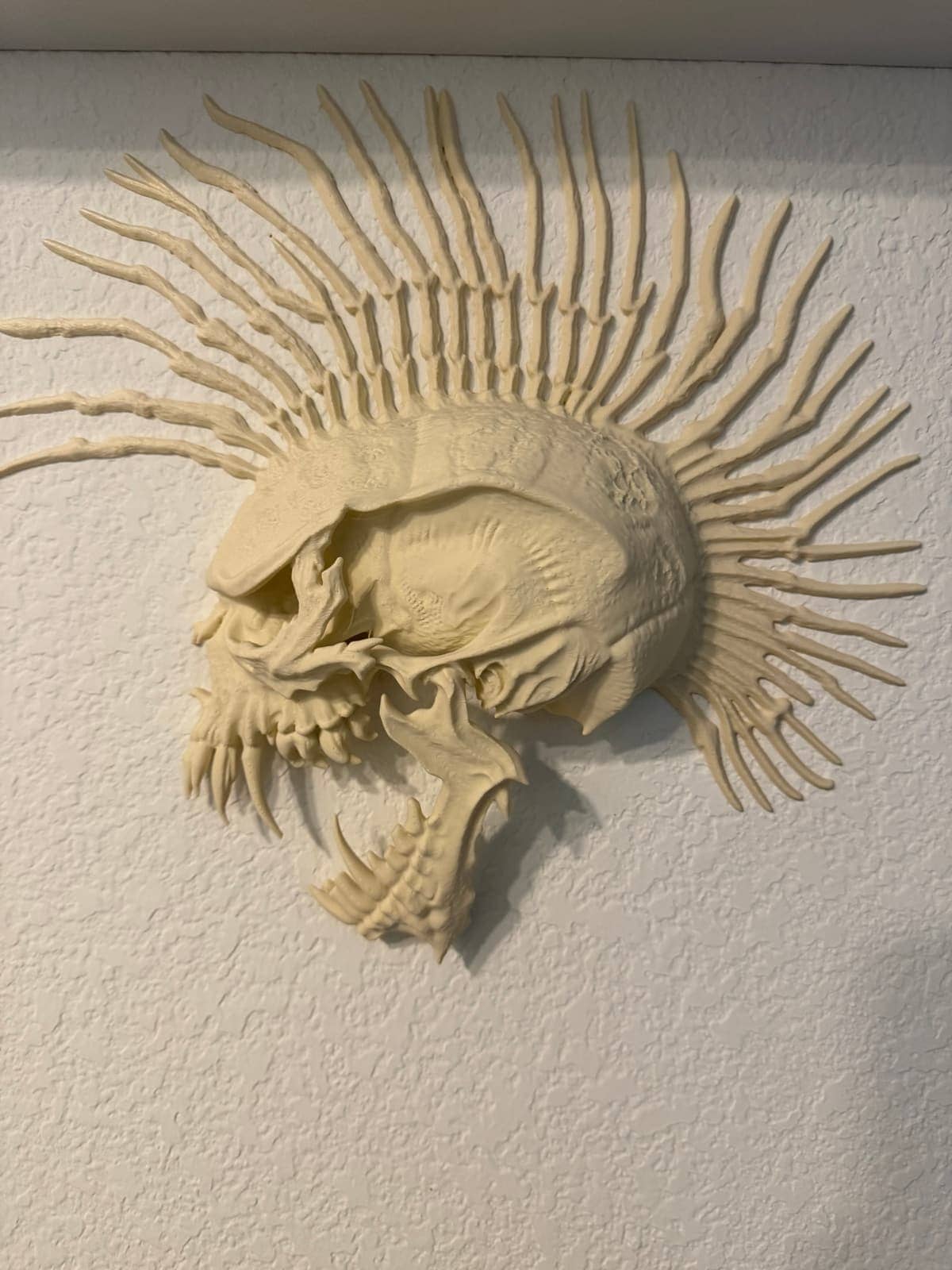 The Exploited - Free Punk Model Wall Hanger Skull