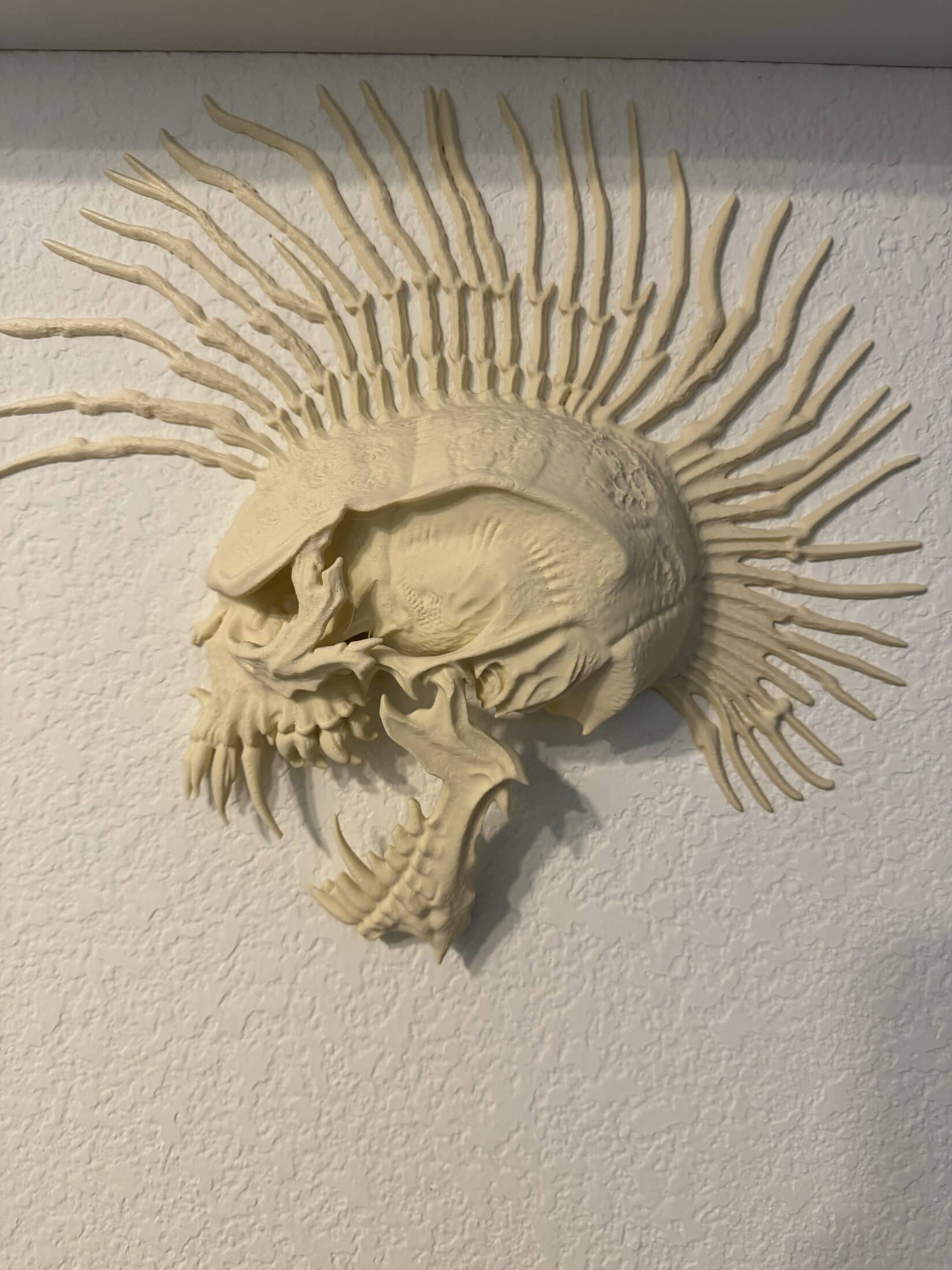 The Exploited - Free Punk Model Wall Hanger Skull