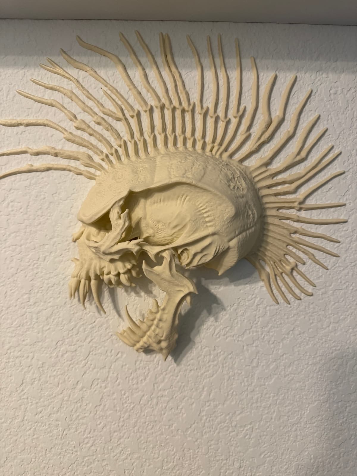 The Exploited - Free Punk Model Wall Hanger Skull