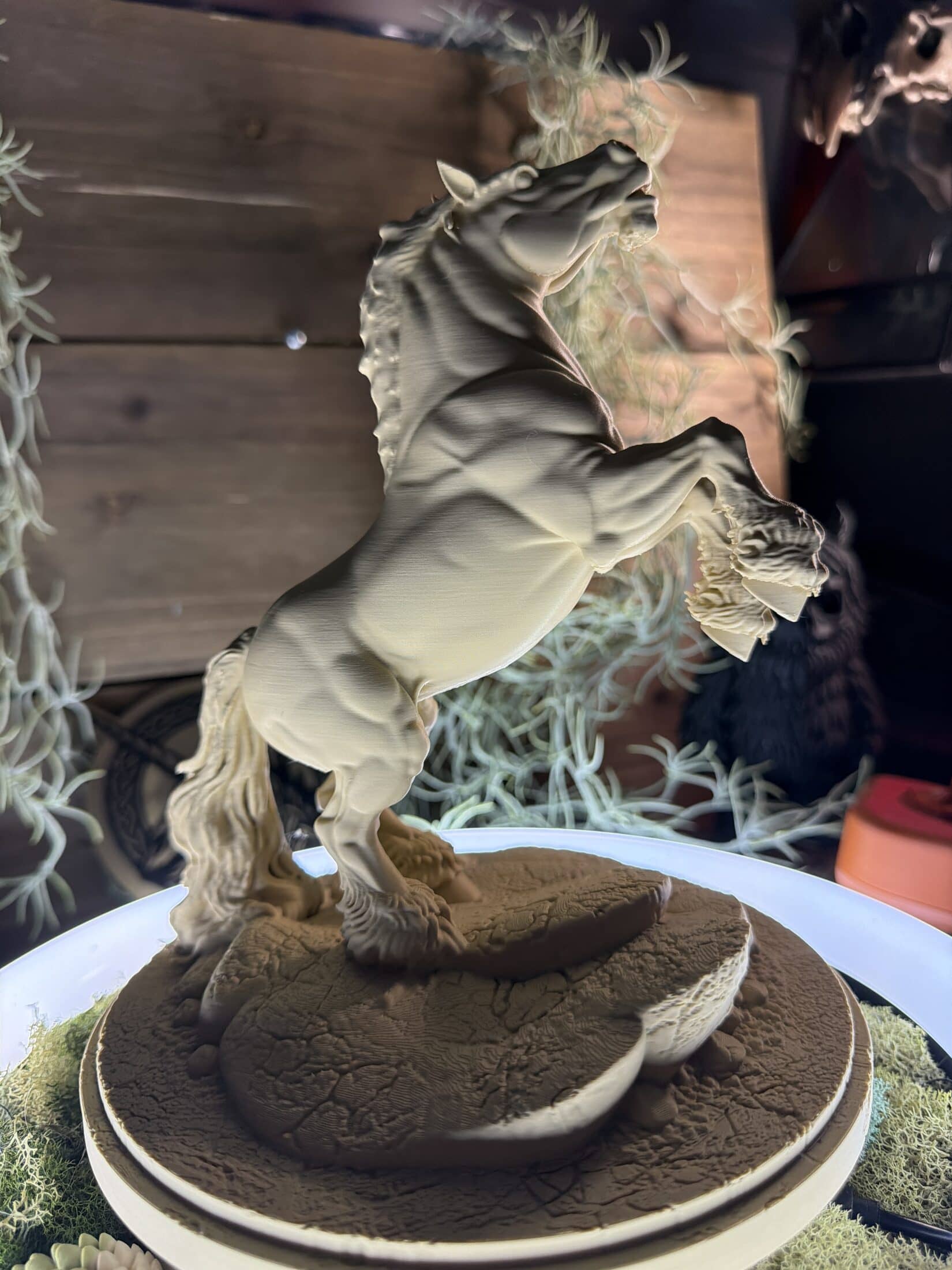 Horse of the Year